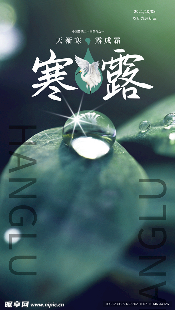 寒露海报