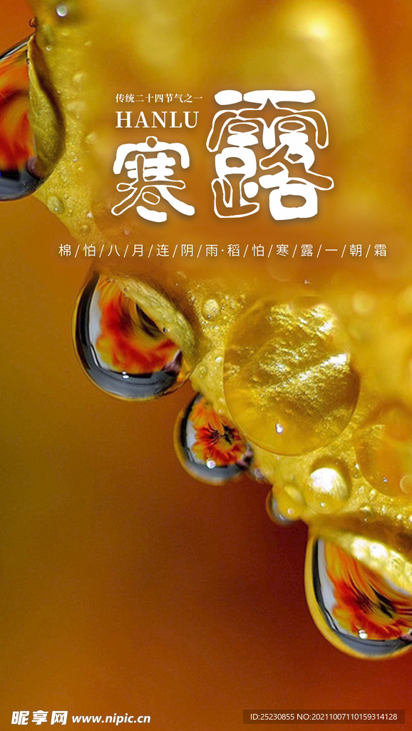 寒露海报