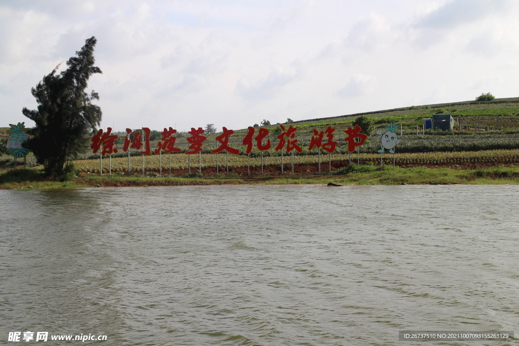 徐闻菠萝文化旅游节