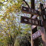 路标