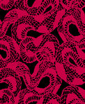 网纹 