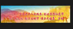 老年人太极拳剑比赛主席台