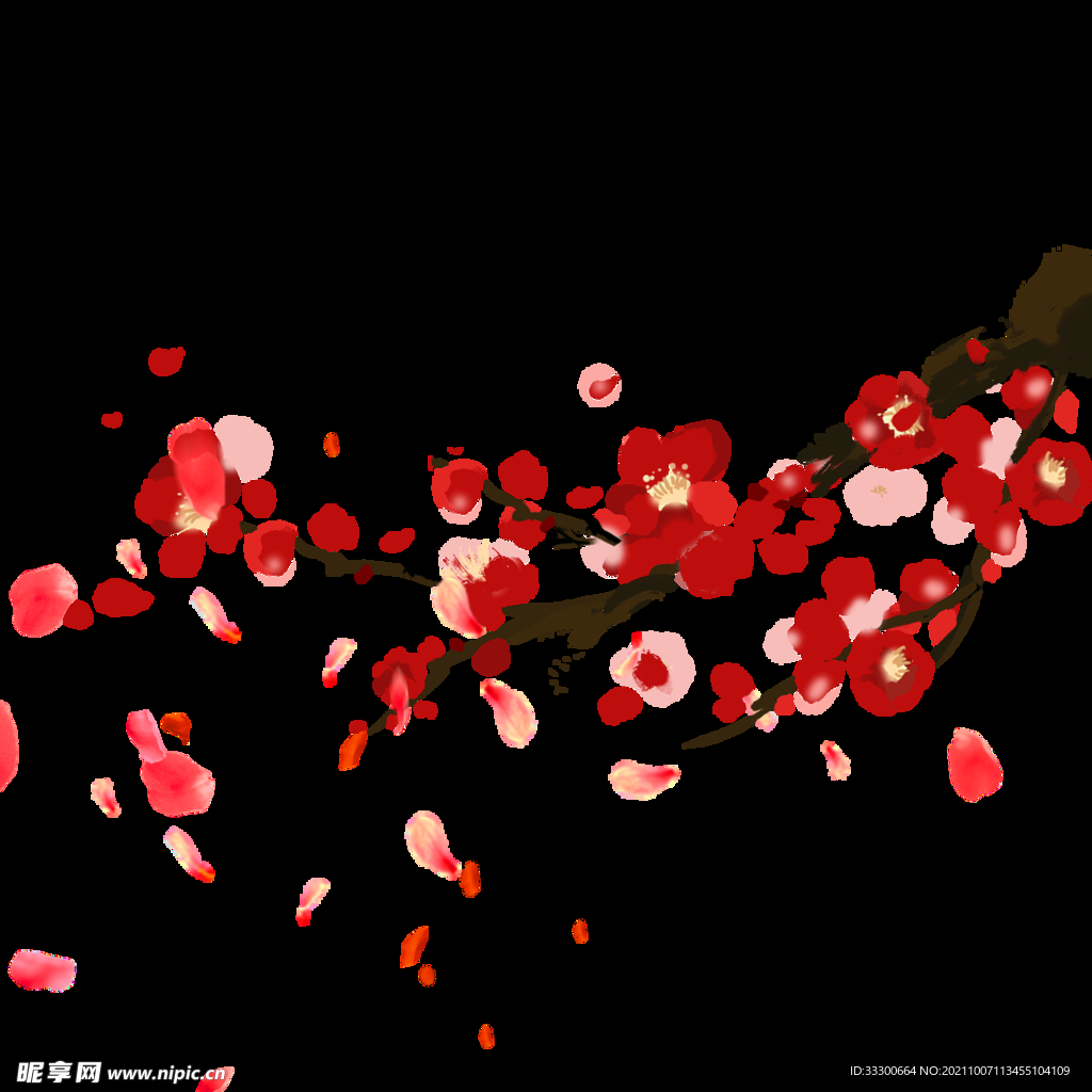 冬天梅花花瓣