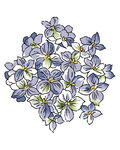 水彩花卉 