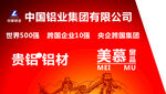 中国铝业