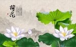 荷花 
