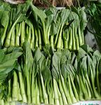 菜心