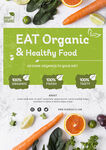 健康绿色食品海报psd