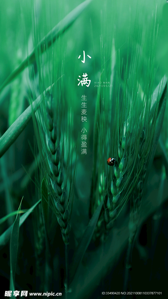 小满二十四节气