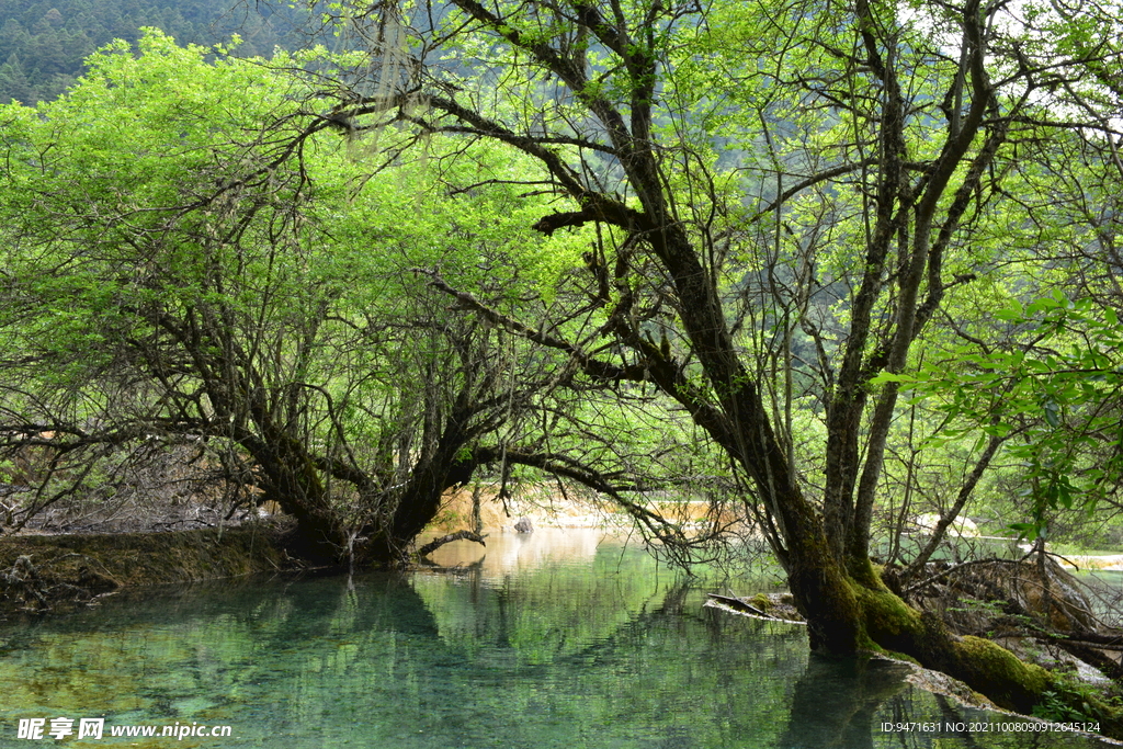 九寨沟黄龙美景 