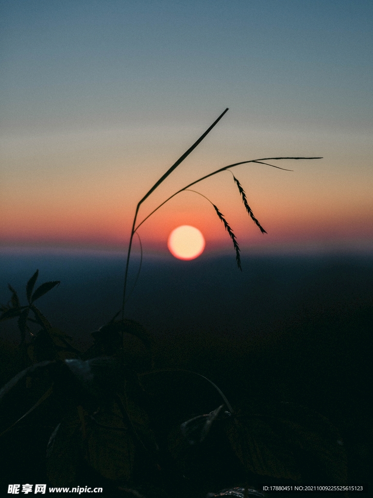 日出
