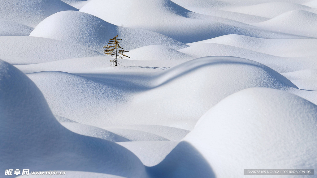 雪景