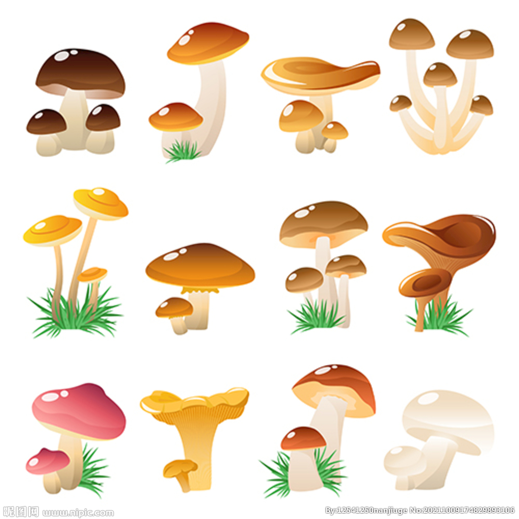 森林蘑菇图标集矢量