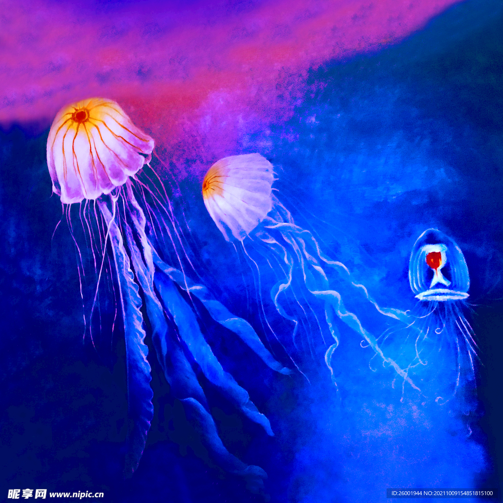 水母