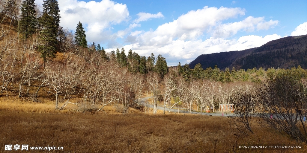 岳桦双瀑山谷