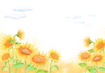 向日葵