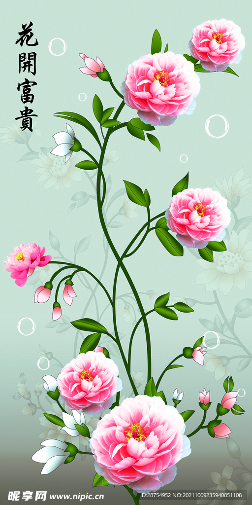 玫瑰花 花开富贵
