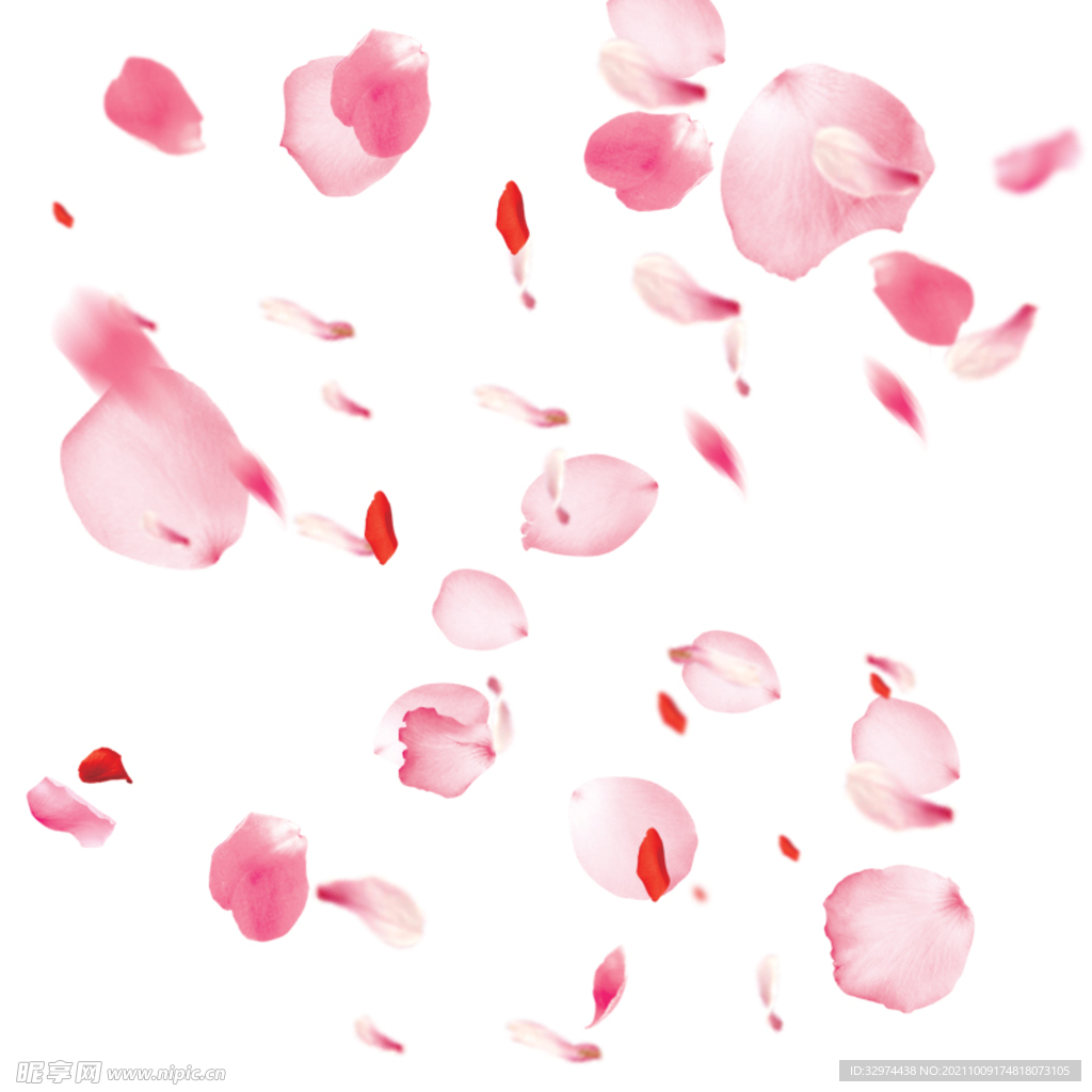 玫瑰花瓣牡丹花瓣漂浮图片素材免费下载 - 觅知网