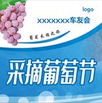 采摘葡萄节