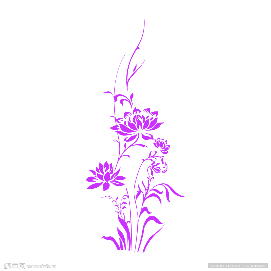 莲花植物