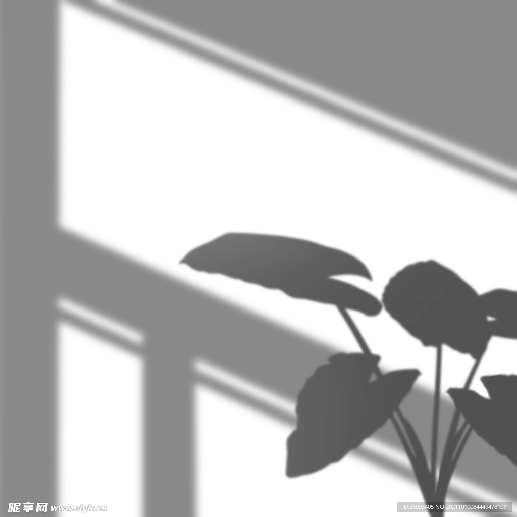 窗户植物投影阴影元素