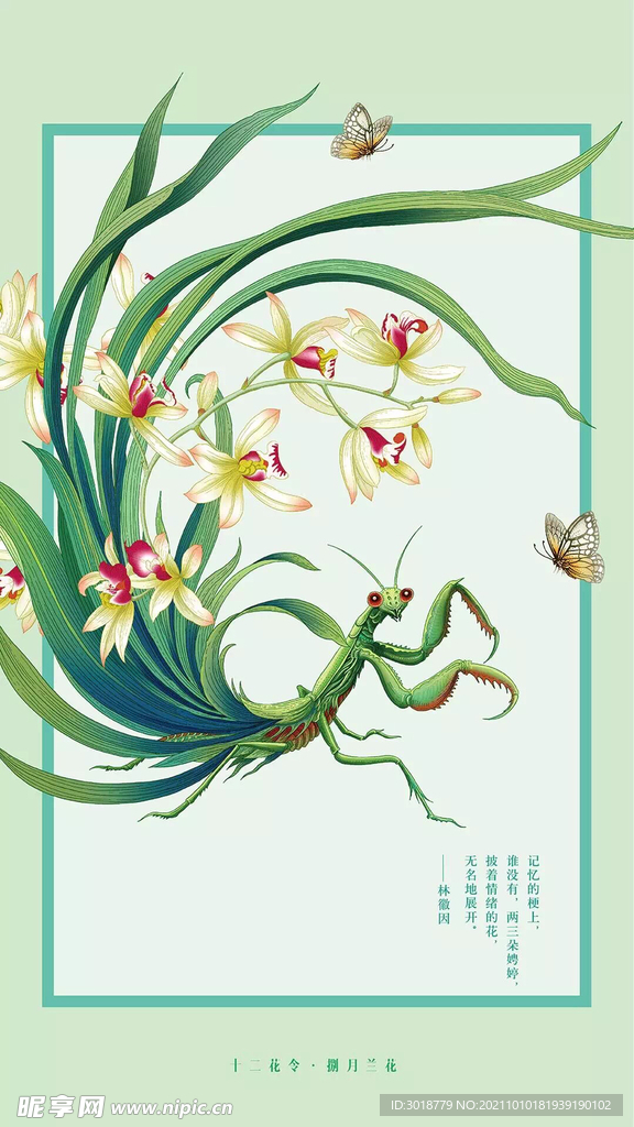 十二花令 