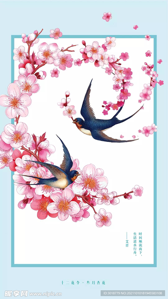 十二花令 