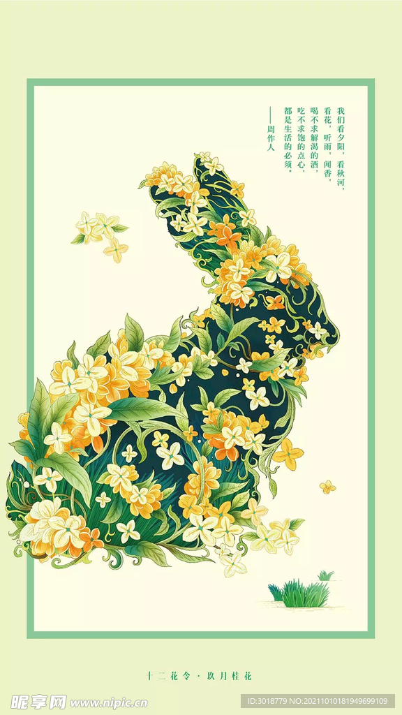 十二花令 