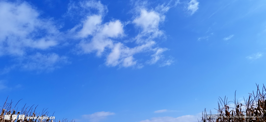蓝天