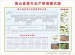 茶叶生产管理模式图