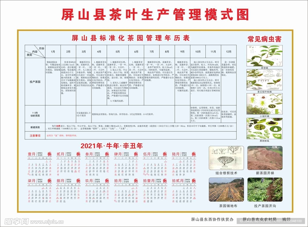 茶叶生产管理模式图