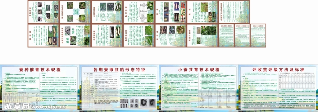 蚕桑种养殖技术及标准