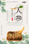 清新简约人参宣传促销海报