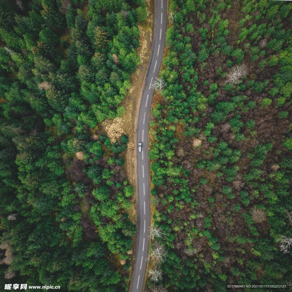 道路