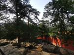 颐和园风景照片