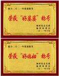木托奖牌