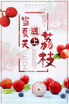水果荔枝海报