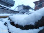 雪景
