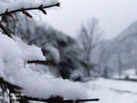 雪