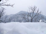 雪景