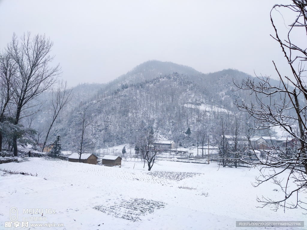 乡村雪景