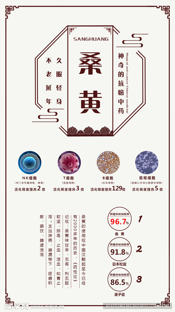 中药宣传页