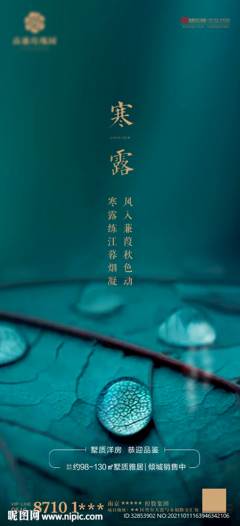 节气海报