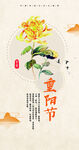 菊花重阳节