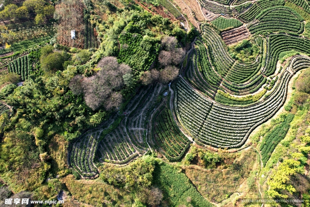 俯瞰田园