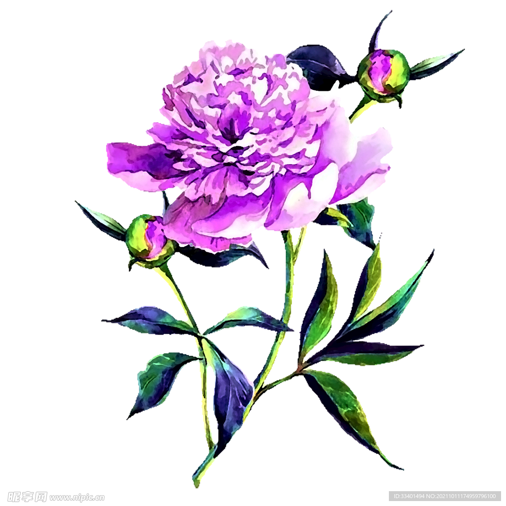 手绘花 数码印花 
