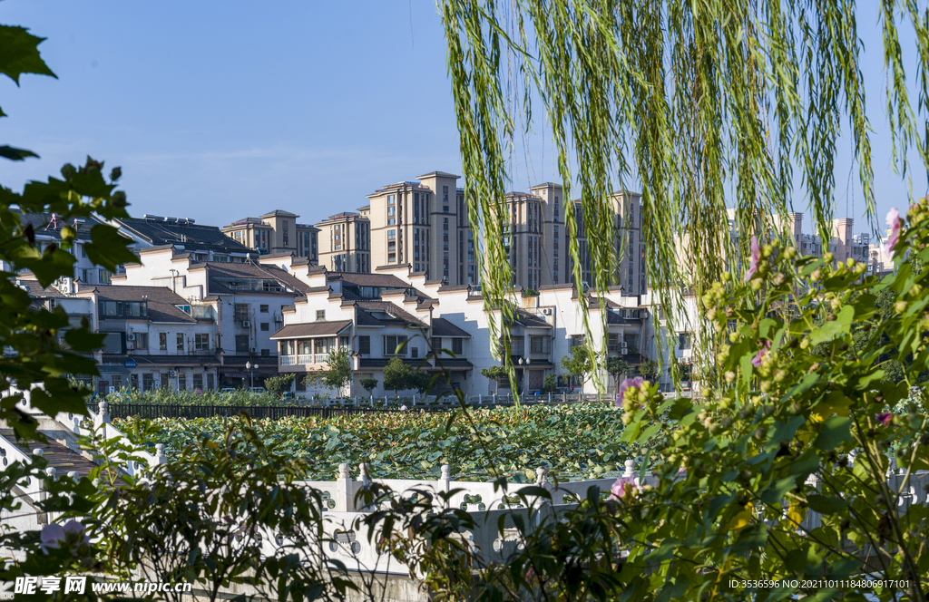 晨光中的城市花园 