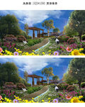 蓝天白云花园公园风景视频