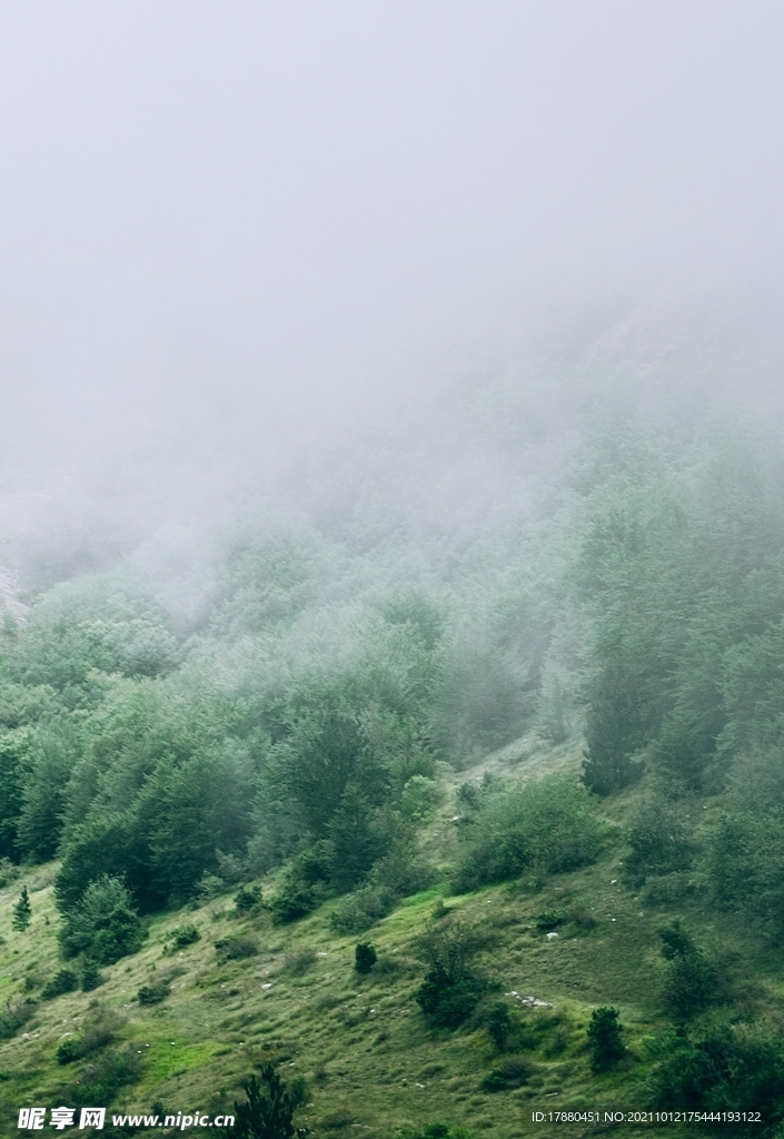 山林