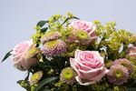 玫瑰花